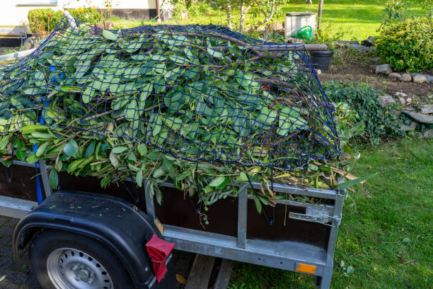 Best Shed Removal  in Big Lake, WA